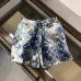 Louis Vuitton Pants for Louis Vuitton Short Pants for men #B40204