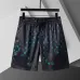 Louis Vuitton Pants for Louis Vuitton Short Pants for men #B45014