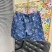 Louis Vuitton Pants for Louis Vuitton Short Pants for men #B53132