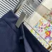 Louis Vuitton Pants for Louis Vuitton Short Pants for men #B53143