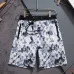 Louis Vuitton Pants for Louis Vuitton Short Pants for men swim trunks #B63474