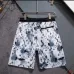 Louis Vuitton Pants for Louis Vuitton Short Pants for men swim trunks #B63474