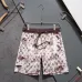 Louis Vuitton Pants for Louis Vuitton Short Pants for men swim trunks #B63474