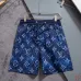 Louis Vuitton Pants for Louis Vuitton Short Pants for men swim trunks #B63479