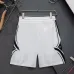 Louis Vuitton Pants for Louis Vuitton Short Pants for men swim trunks #B63485