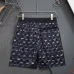 Louis Vuitton Pants for Louis Vuitton Short Pants for men swim trunks #B63489