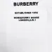 Burberry Shirts for Burberry AAA+ Shorts-Sleeved Shirts for men #999934345