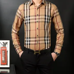 Burberry AAA+ Long-Sleeved Shirts for men #818102