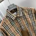 Burberry Shirts for Burberry Men's AAA+ Burberry Long-Sleeved Shirts #9999933048