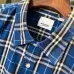 Burberry Shirts for Burberry Men's AAA+ Burberry Long-Sleeved Shirts #B58515