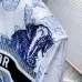 Dior shirts for Dior Long-Sleeved Shirts for men #B36917