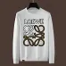 2024 NEW LOEWE Sweaters #B43844