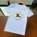 Burberry T-Shirts for Burberry  AAAA T-Shirts #99900681