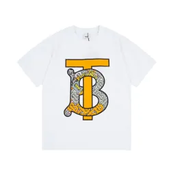 Burberry T-Shirts for Burberry  AAAA T-Shirts #9999931971