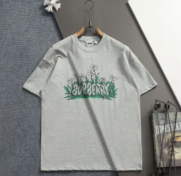 Burberry T-Shirts for Burberry  AAAA T-Shirts #B61870