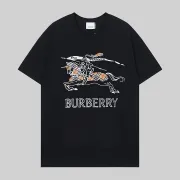 Burberry T-Shirts for Burberry  AAAA T-Shirts #B62979