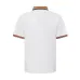 Burberry T-Shirts for Burberry  AAAA T-Shirts #B63771