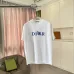 Dior T-shirts for men Black/Blue/Grey #B51345