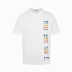 Dior T-shirts for men Color logo #B46867