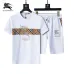 Burberry Tracksuits for Burberry Short Tracksuits for men #B51866
