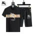 Burberry Tracksuits for Burberry Short Tracksuits for men #B51866