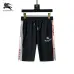 Burberry Tracksuits for Burberry Short Tracksuits for men #B51869