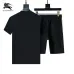 Burberry Tracksuits for Burberry Short Tracksuits for men #B51869