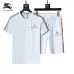 Burberry Tracksuits for Burberry Short Tracksuits for men #B51869