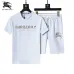 Burberry Tracksuits for Burberry Short Tracksuits for men #B51870