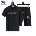 Burberry Tracksuits for Burberry Short Tracksuits for men #B51870