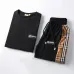Burberry Tracksuits for Burberry Short Tracksuits for men #B51871