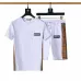 Burberry Tracksuits for Burberry Short Tracksuits for men #B51871