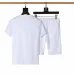 Burberry Tracksuits for Burberry Short Tracksuits for men #B51872