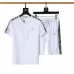Burberry Tracksuits for Burberry Short Tracksuits for men #B51872