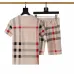Burberry Tracksuits for Burberry Short Tracksuits for men #B51873