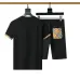 Burberry Tracksuits for Burberry Short Tracksuits for men #B51874