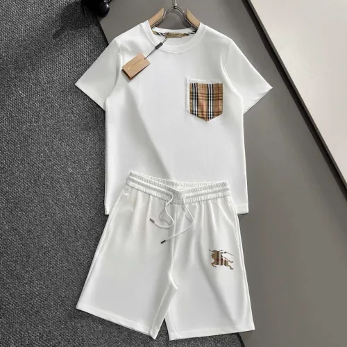 Burberry Tracksuits for Burberry Short Tracksuits for men #B53348