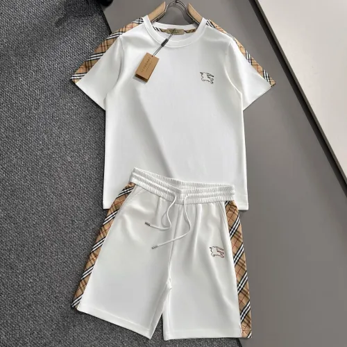 Burberry Tracksuits for Burberry Short Tracksuits for men #B53350
