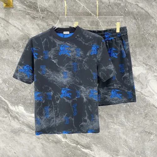 Burberry Tracksuits for Burberry Short Tracksuits for men #B64371