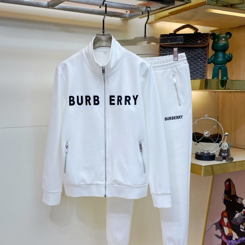 Burberry Tracksuits for Men's long tracksuits #999935042