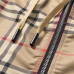 Burberry Tracksuits for Men's long tracksuits #9999926102