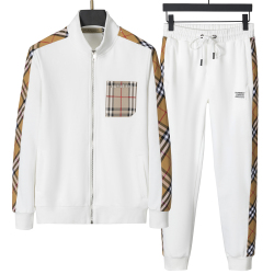 Burberry Tracksuits for Men's long tracksuits #9999927902