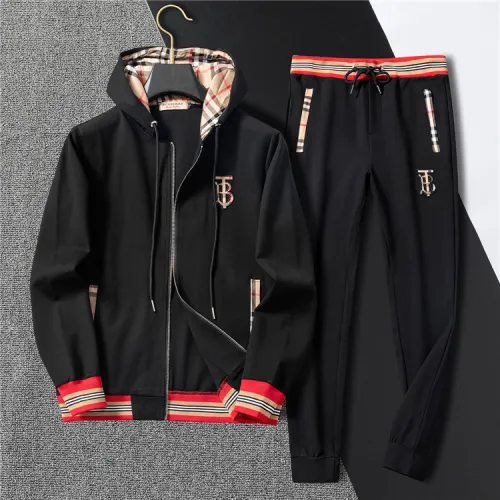 Burberry Tracksuits for Men's long tracksuits #B41080