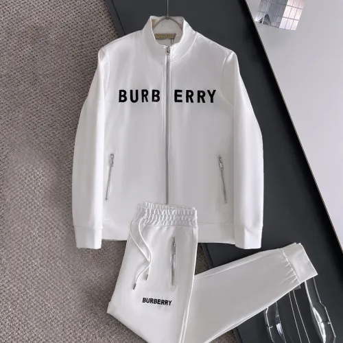 Burberry Tracksuits for Men's long tracksuits #B41675