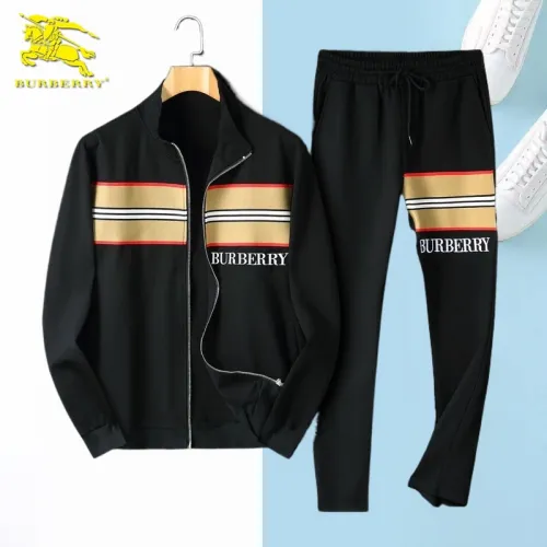 Burberry Tracksuits for Men's long tracksuits #B44763