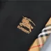Burberry Tracksuits for Men's long tracksuits #B55269