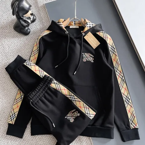 Burberry Tracksuits for Men's long tracksuits #B58870