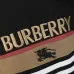 Burberry Tracksuits for Men's long tracksuits #B60150