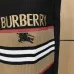 Burberry Tracksuits for Men's long tracksuits #B60150