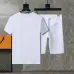 Dior tracksuits for Dior Short Tracksuits for men #9999932570